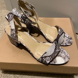 Brand New Lulu’s Snake Skin Sandal